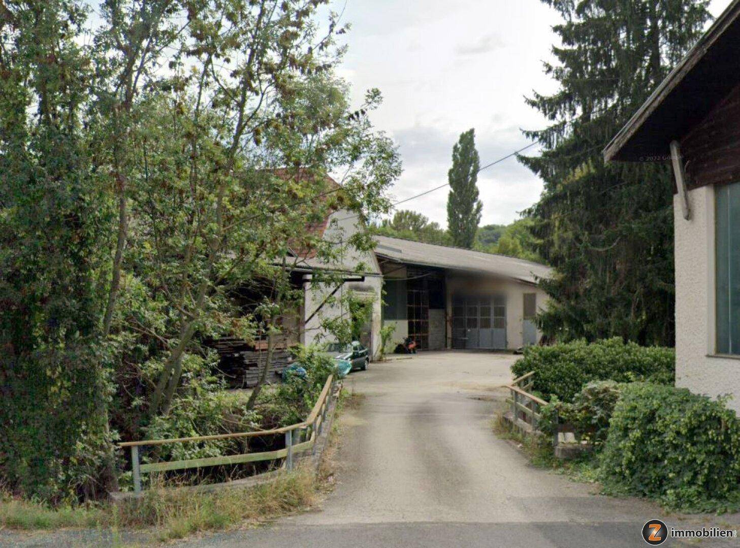 Zufahrt zum Anwesen, umgeben von Bäumen und Sträuchern, mit älteren Gebäuden im Hintergrund.