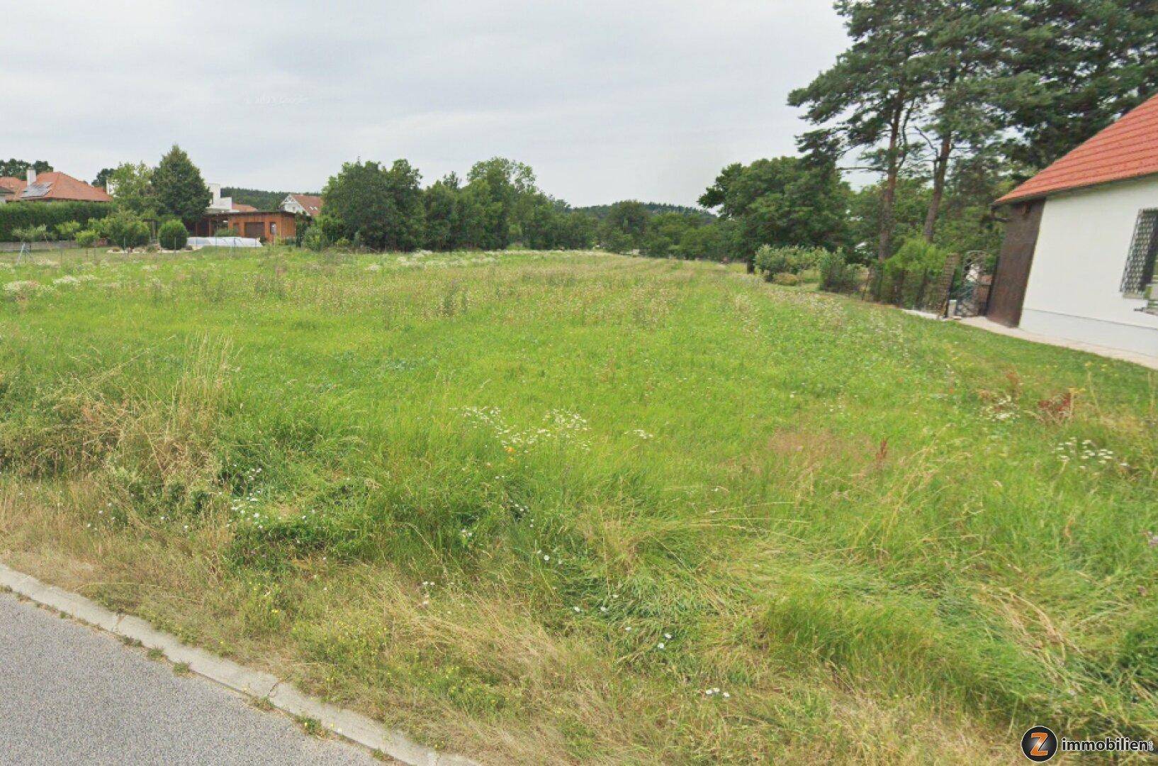Großes, offenes Grundstück mit Grasfläche, einem angrenzenden Haus und Bäumen am Horizont, ideal für Bauvorhaben.