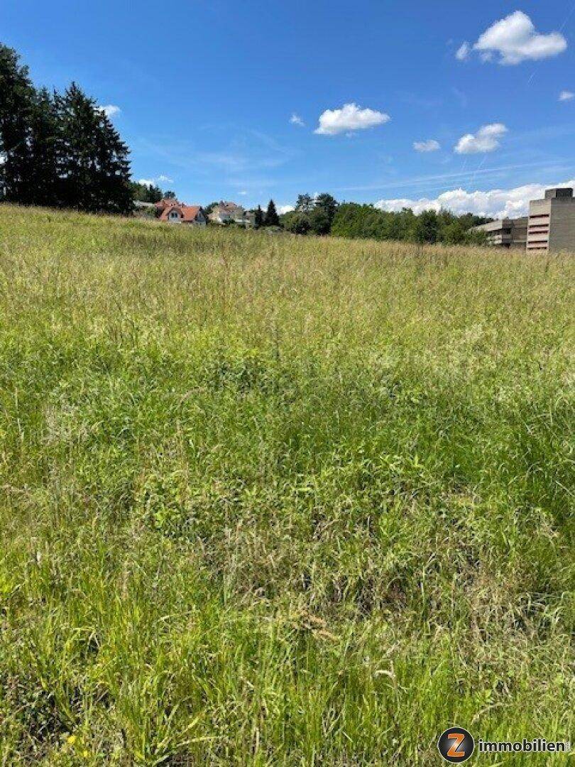 Idyllisches grünes Feld mit Bäumen und Wohnhäusern in der Ferne unter einem klaren Himmel.