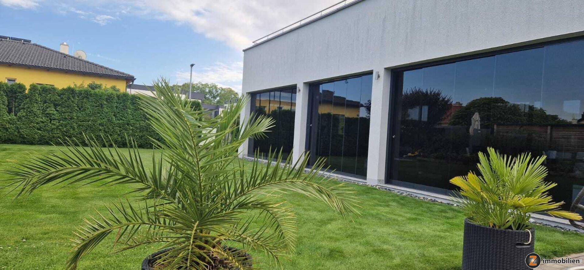 Gepflegter Garten mit Rasenfläche, Palmen und großen Glasfronten des Hauses.