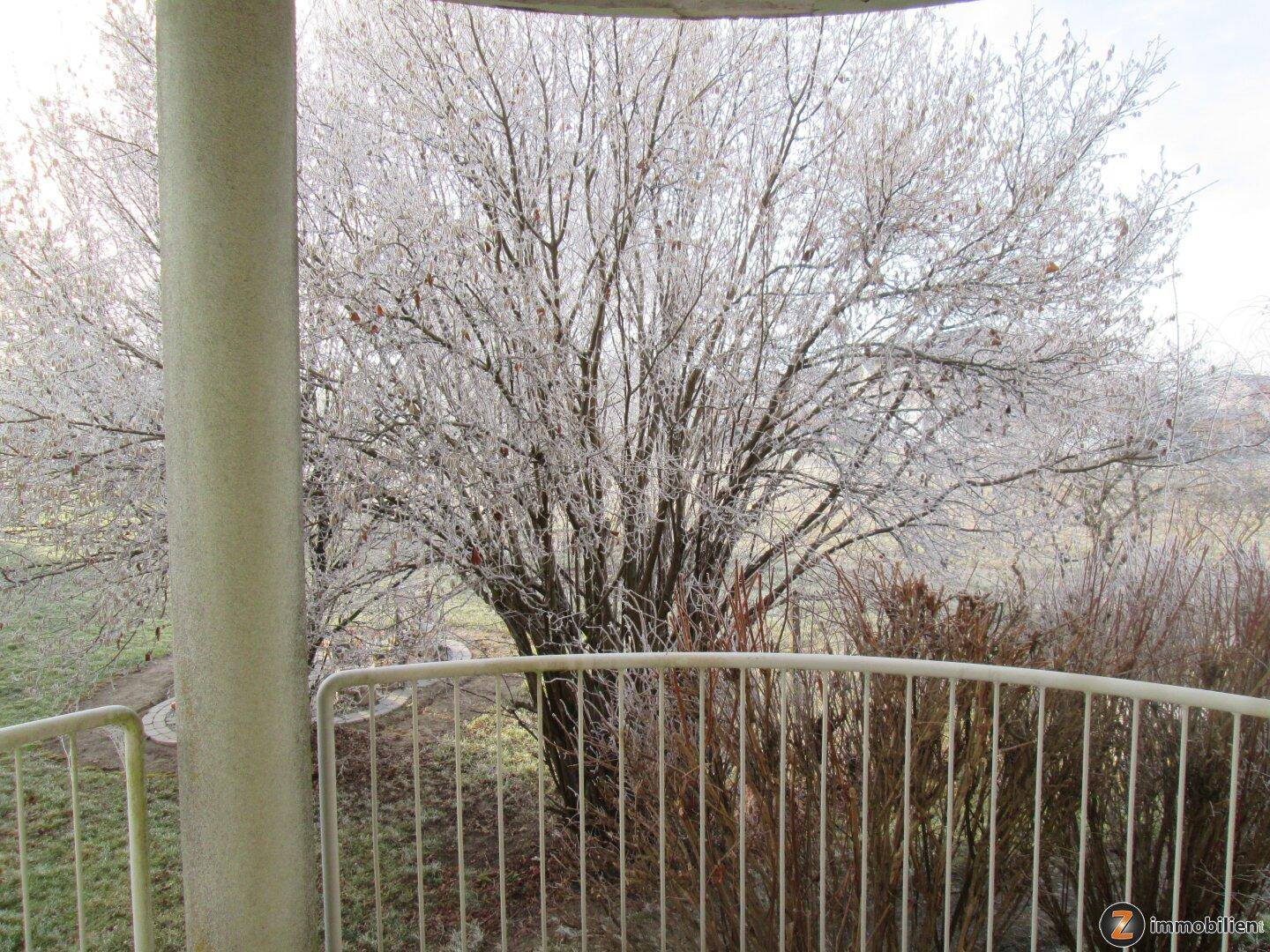 Aussicht vom Balkon auf schneebedeckte Bäume und eine weite Grünfläche im Winter.