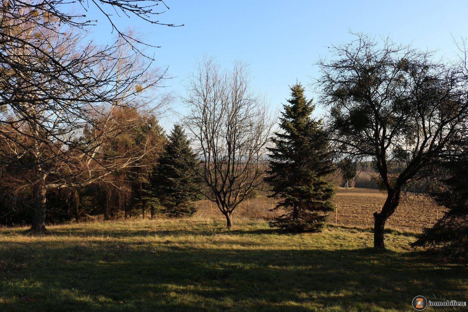 Weitläufige ländliche Landschaft mit Bäumen und Feldern unter strahlend blauem Himmel.