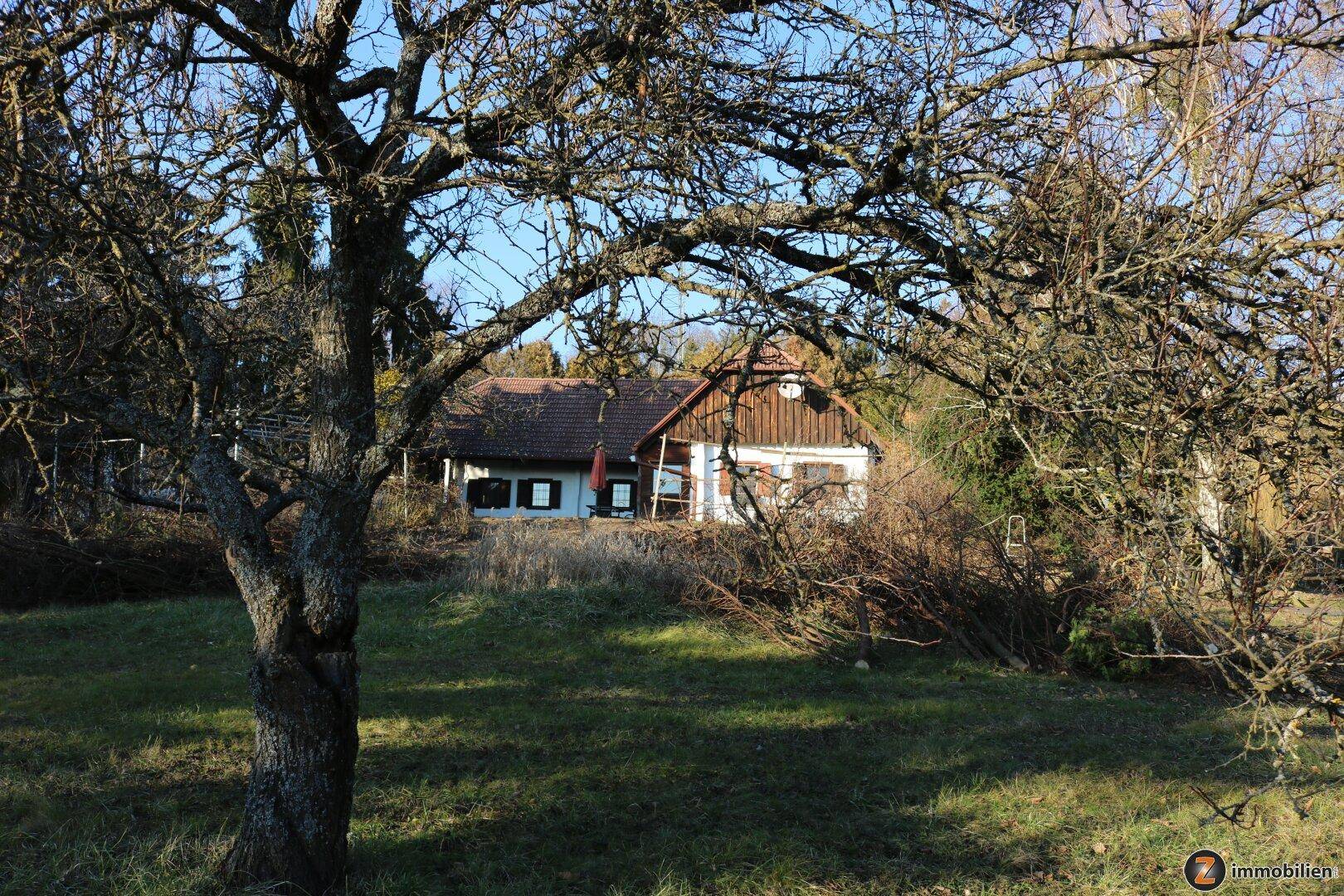 Gartenbereich mit altem Baumbestand und Blick auf das charmante Landhaus im Hintergrund.