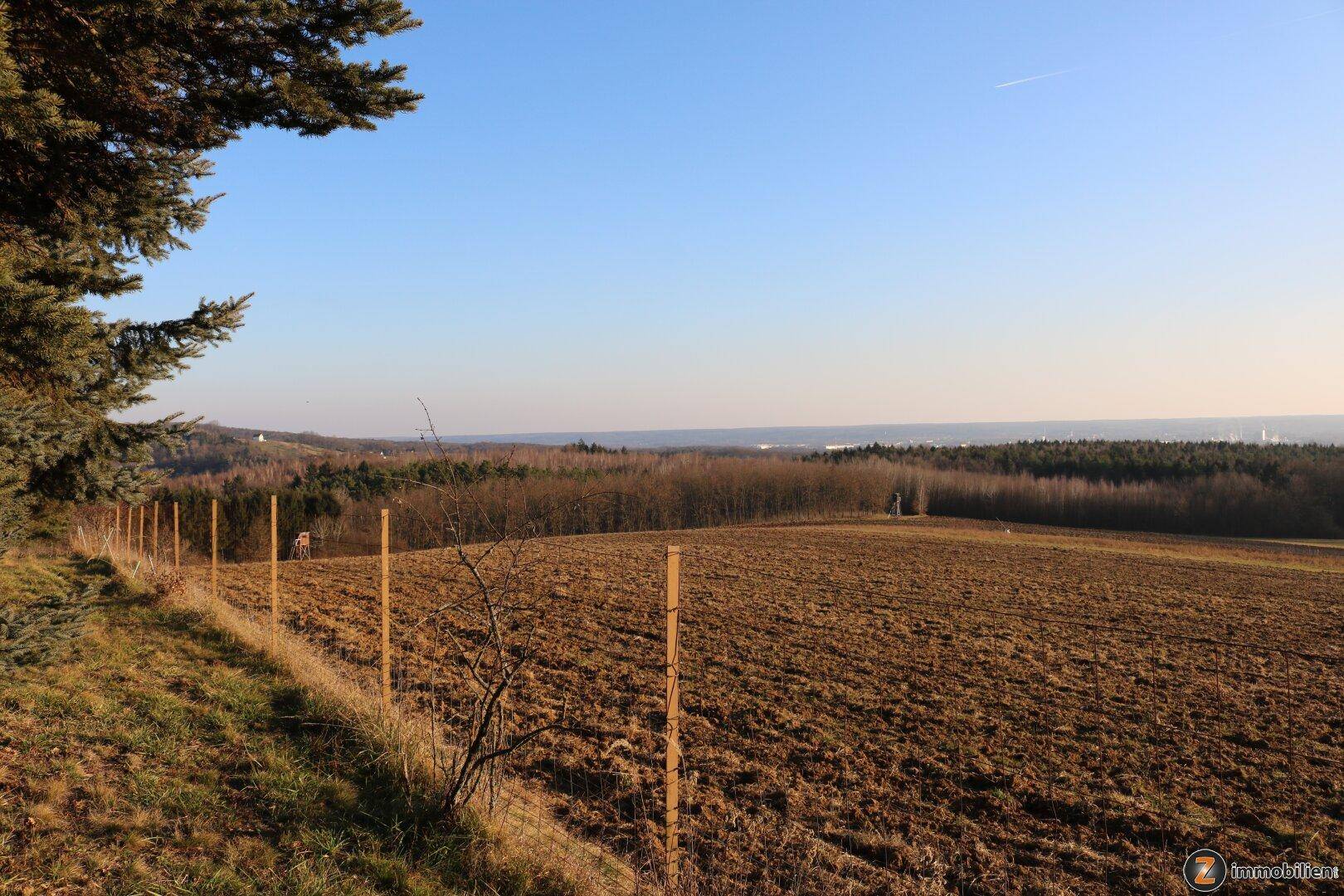 Weite Felder mit Fernblick auf eine bewaldete Hügellandschaft unter blauem Himmel.