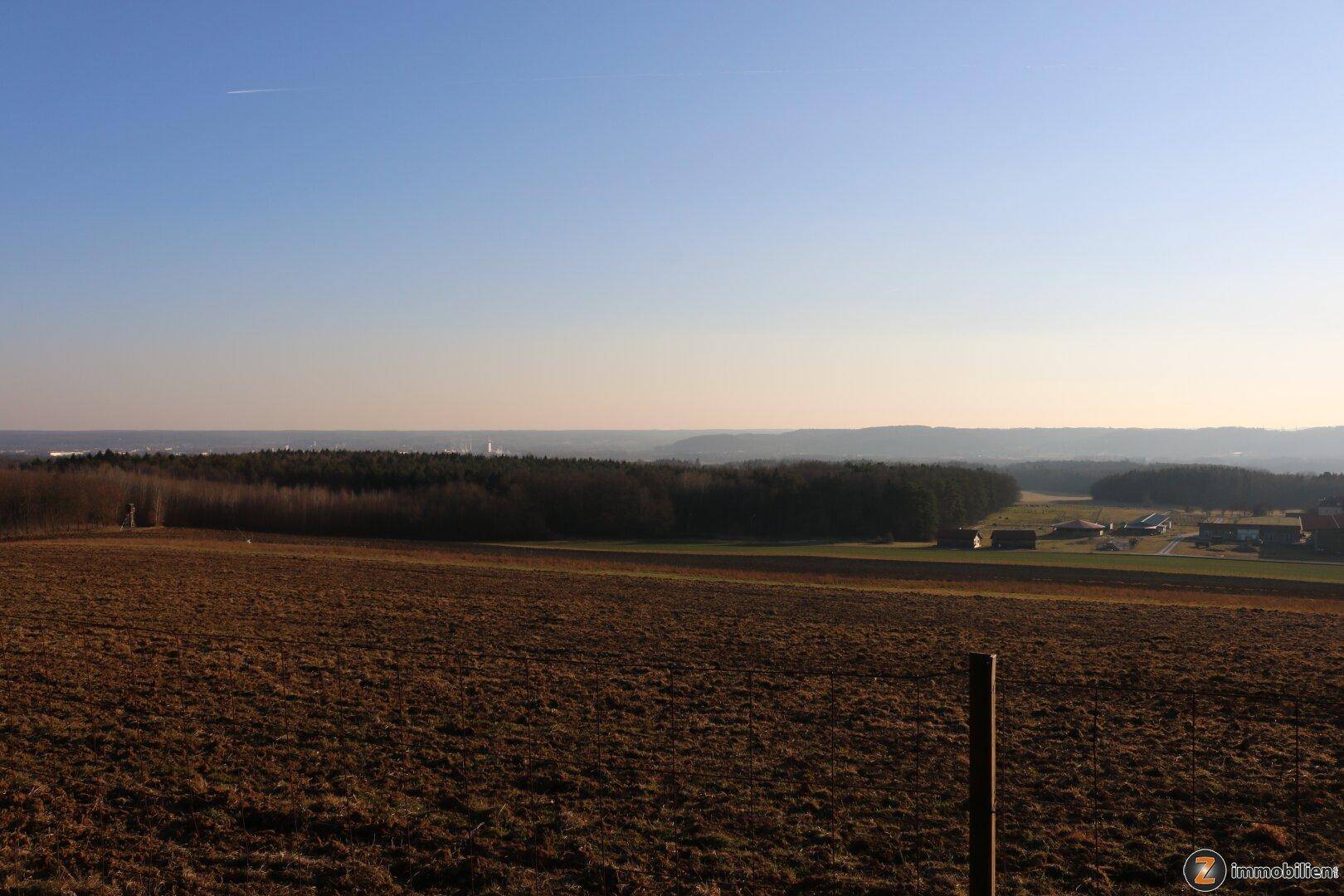 Weite Felder mit Fernblick auf eine bewaldete Hügellandschaft unter blauem Himmel.