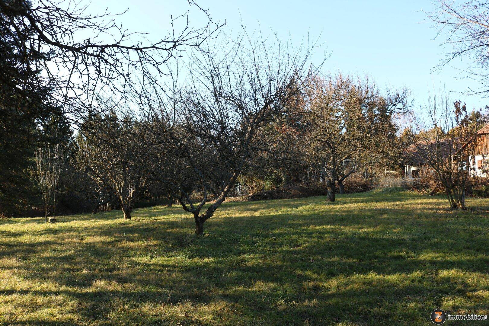 Weitläufiger Garten mit altem Baumbestand und Rasenfläche, im Hintergrund das Landhaus.