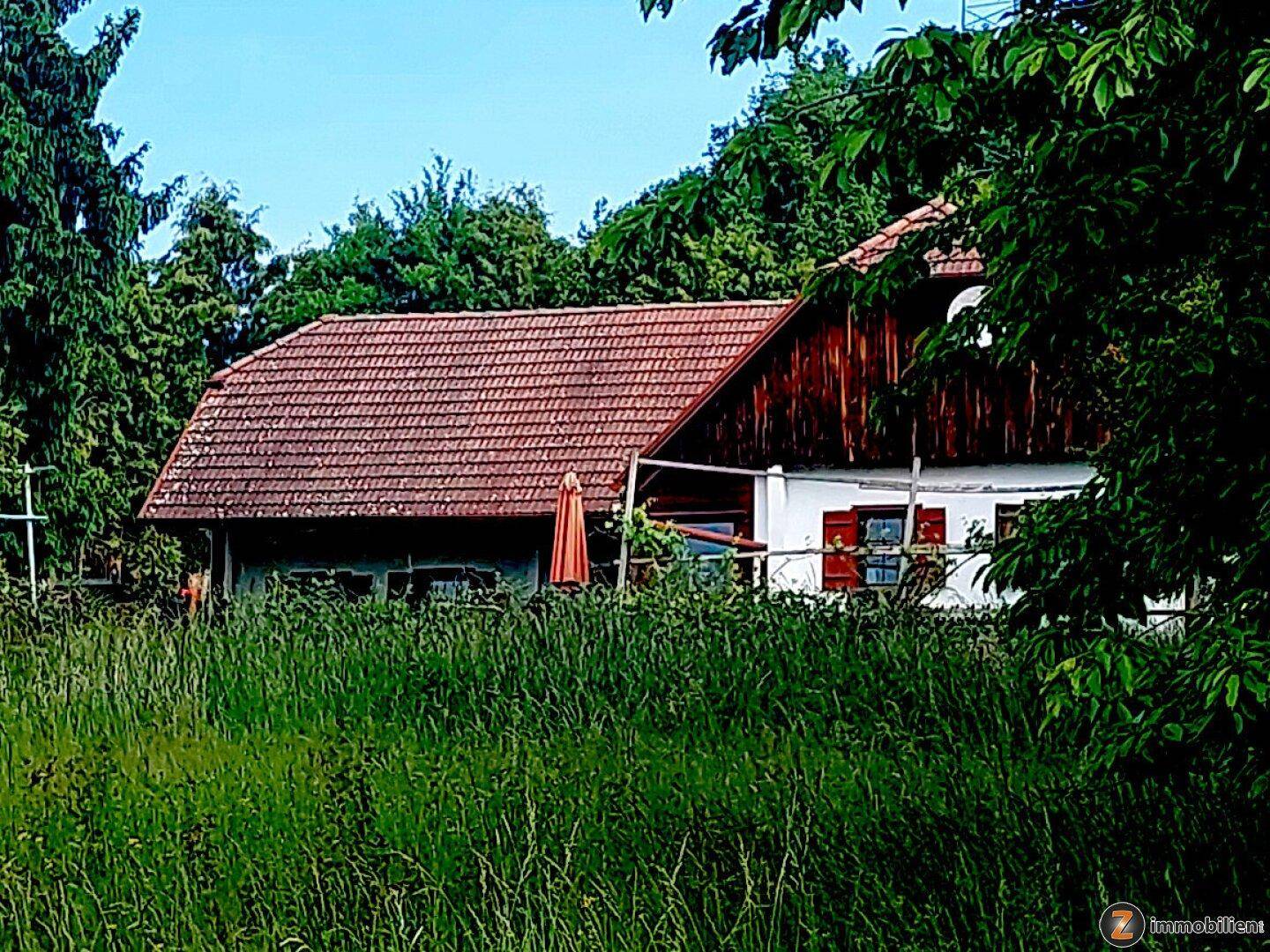 Absolute Einzellage mit einzigartigem Fernblick, 1,6 ha - Ansicht 4
