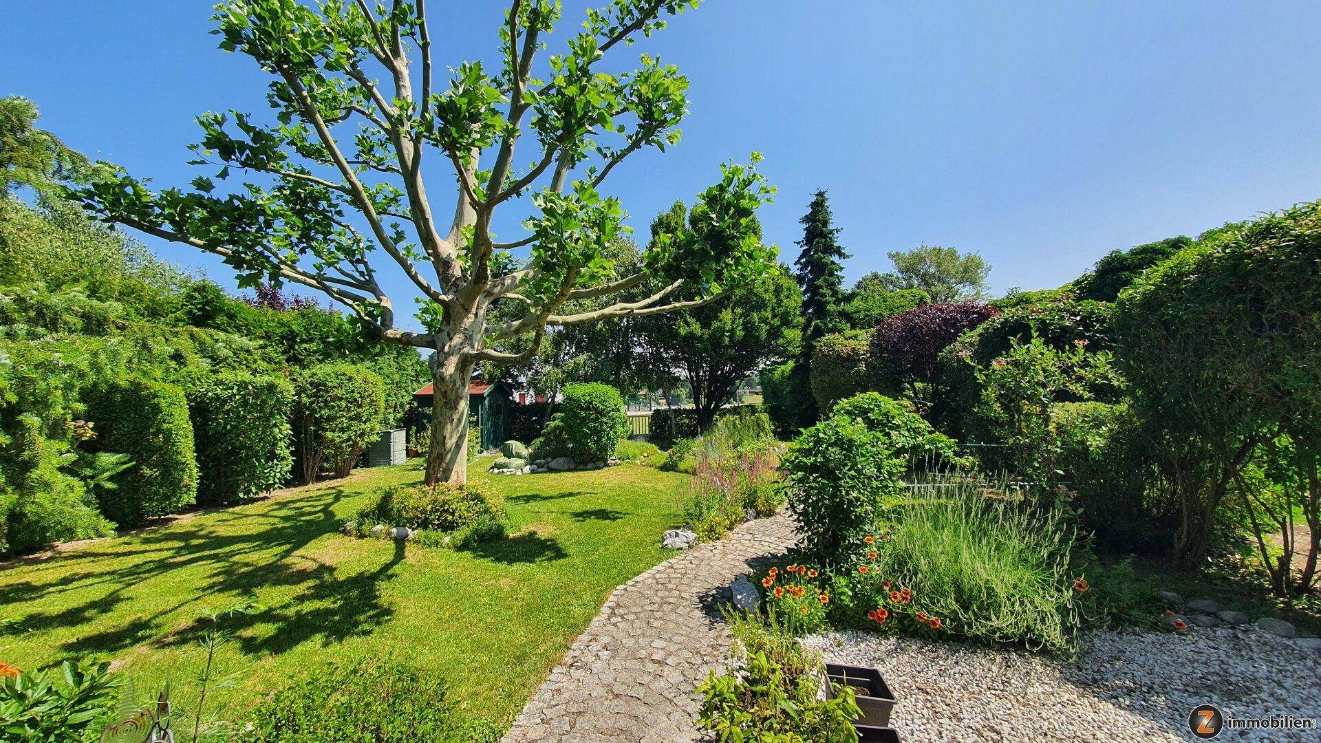 Weitläufiger Garten mit großem Baum, gepflegtem Rasen und einem geschwungenen Steinweg unter strahlendem Himmel.
