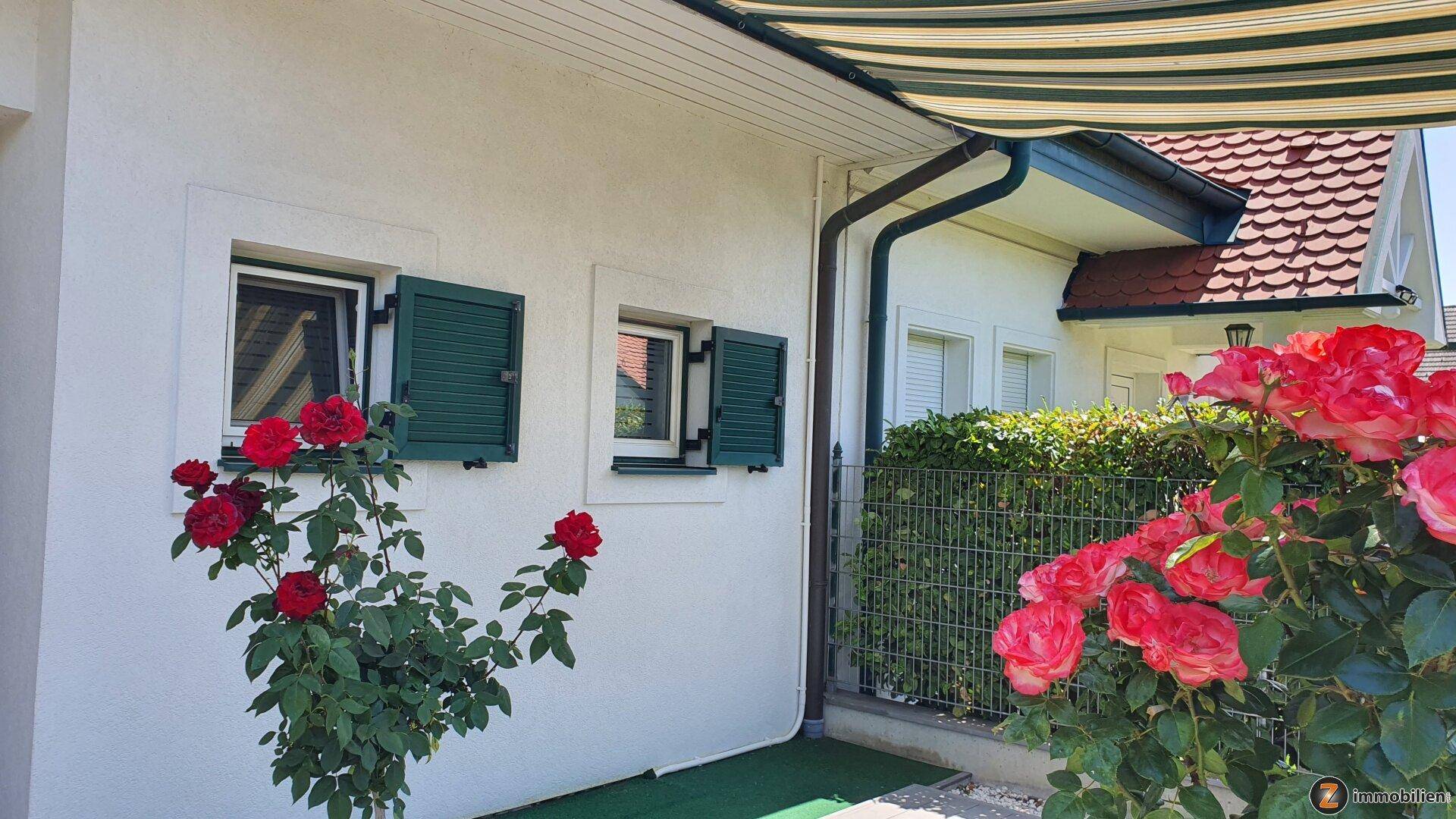 Weiße Hausfassade mit grünen Fensterläden, umgeben von blühenden Rosen und einer Hecke.