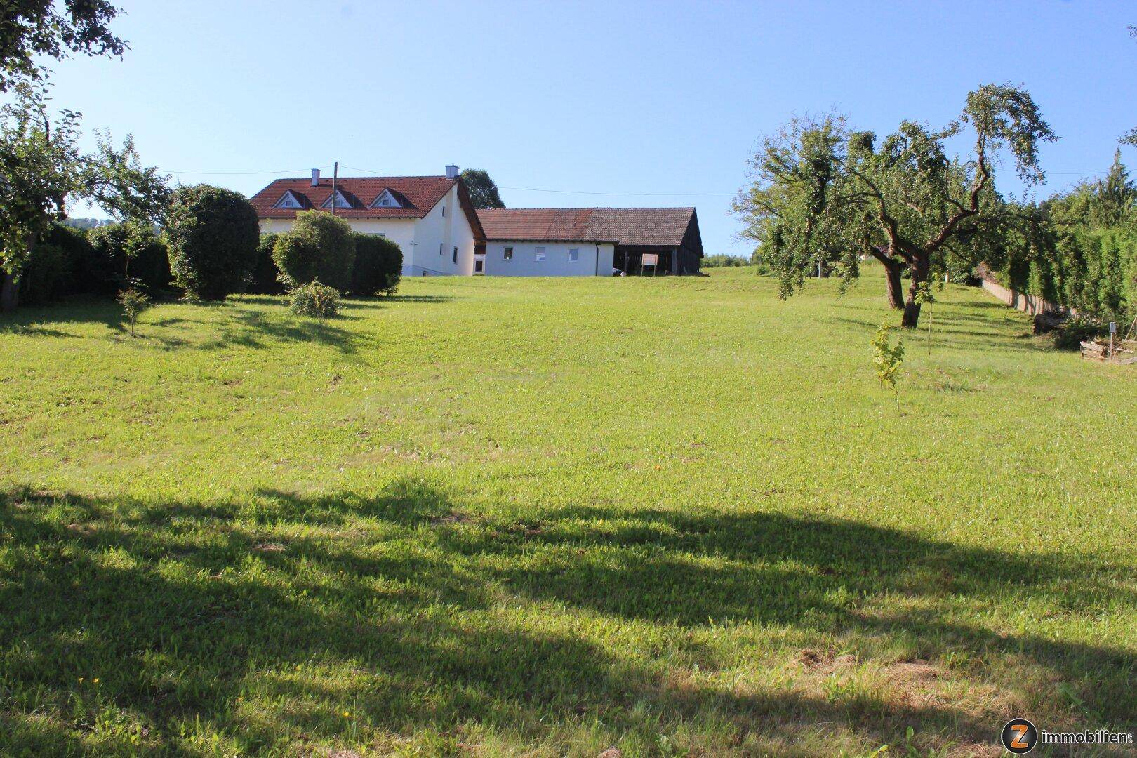 Weitläufiger Garten mit Rasenfläche und Blick auf das Wohnhaus im Hintergrund.
