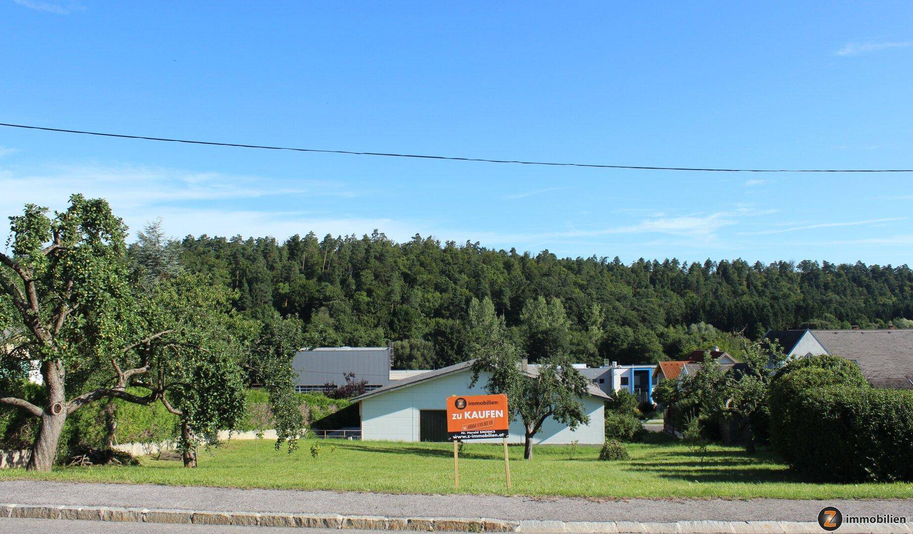 Blick von der Straße auf ein zum Verkauf stehendes Haus mit Wald im Hintergrund.