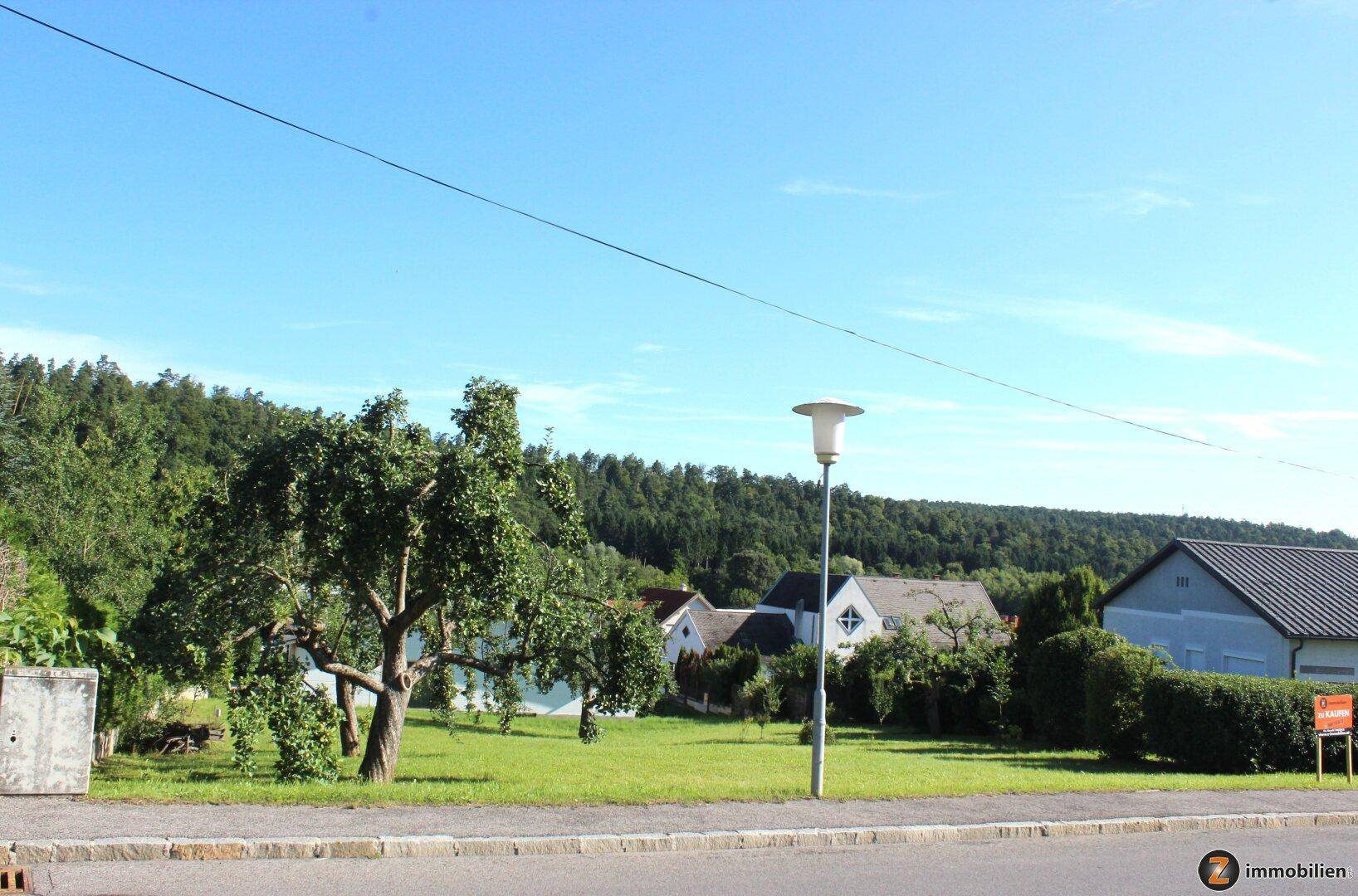 Straßenansicht mit Häusern und einem Wald im Hintergrund unter klarem blauem Himmel.
