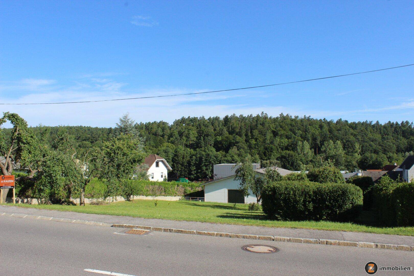 Panoramablick von der Straße auf die umliegende Landschaft mit Häusern und dichtem Wald.