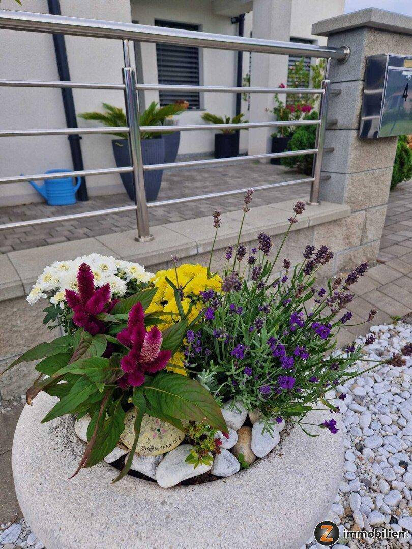 Bunter Blumenkübel mit Lavendel und anderen Pflanzen vor dem Hauseingang.