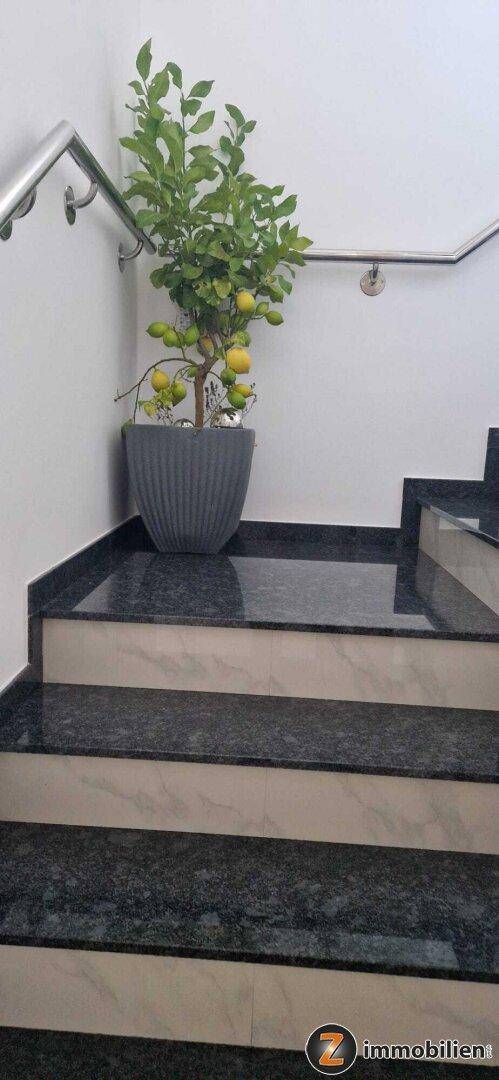 Treppenabsatz mit dekorativem Zitronenbaum in einem modernen Topf und Edelstahlhandlauf.