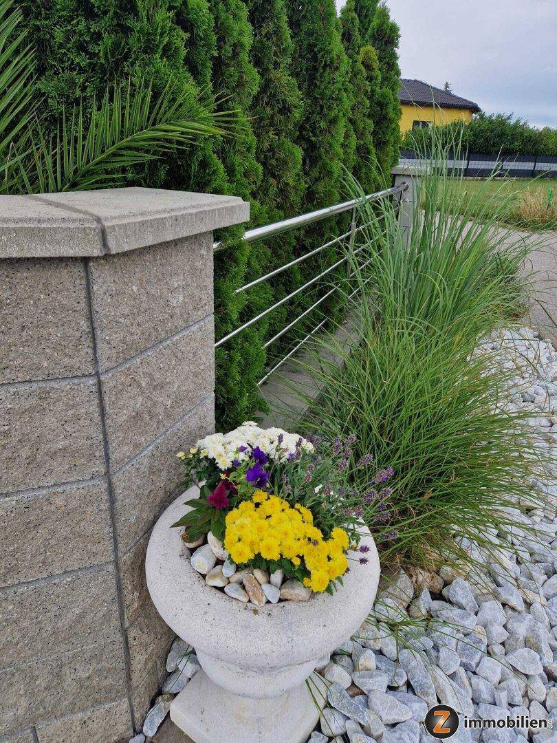 Blumenkübel mit farbenfrohen Pflanzen, umgeben von weißem Kies und einer hohen Hecke.