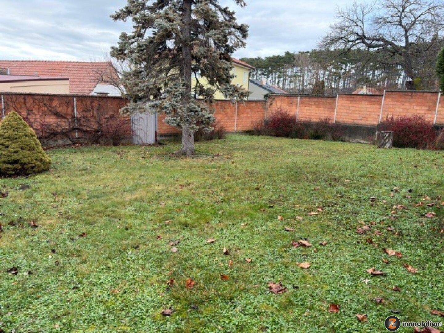 Großer Gartenbereich mit Rasenfläche, altem Baum und einer Backsteinmauer.