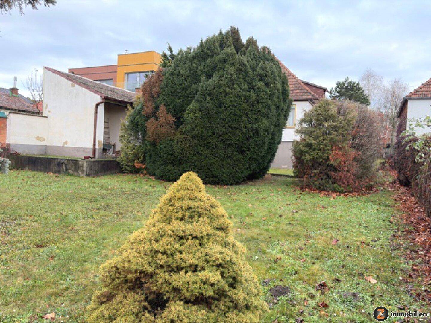 Großer Garten mit verschiedenen Bäumen und Sträuchern hinter dem Haus.