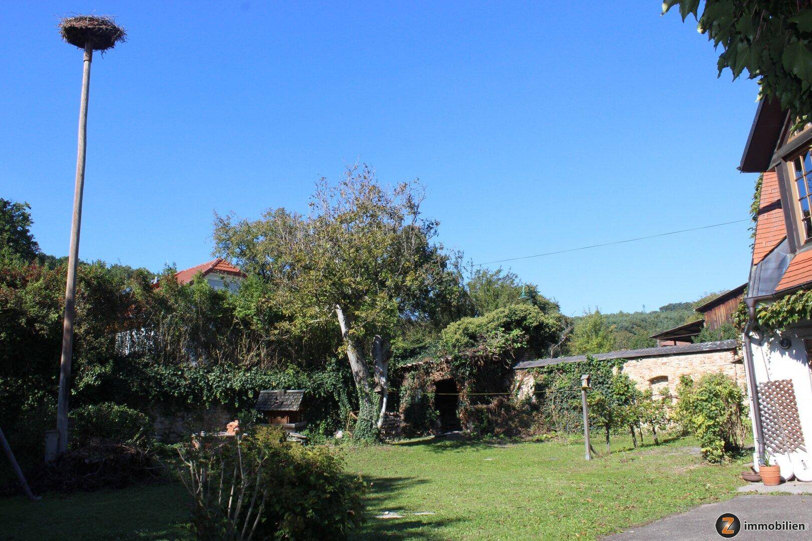 Großer Gartenbereich mit Rasenfläche, alten Bäumen und einem Storchennest auf einem hohen Mast.