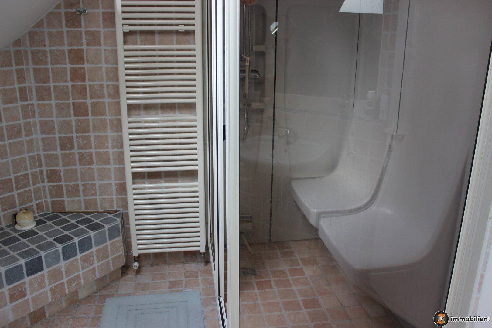 Badezimmer mit Duschkabine, beheiztem Handtuchhalter und braunen Mosaikfliesen.