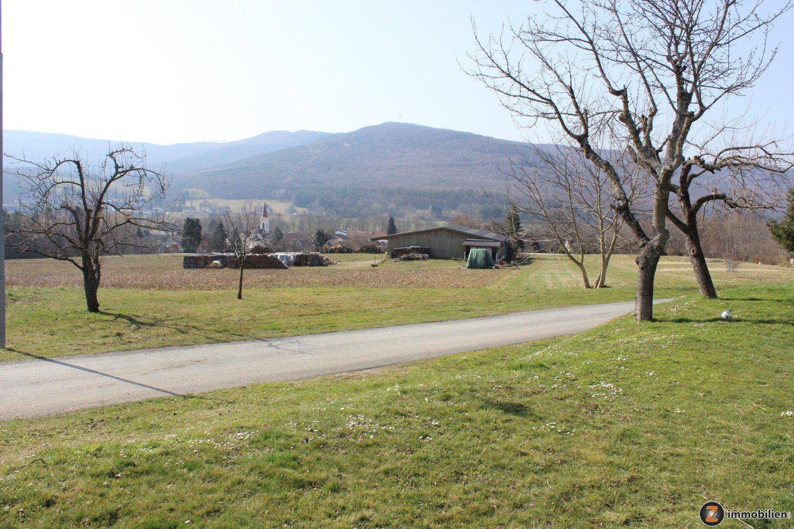 Weitläufige ländliche Landschaft mit Feldern, Bäumen und Bergen im Hintergrund unter blauem Himmel.
