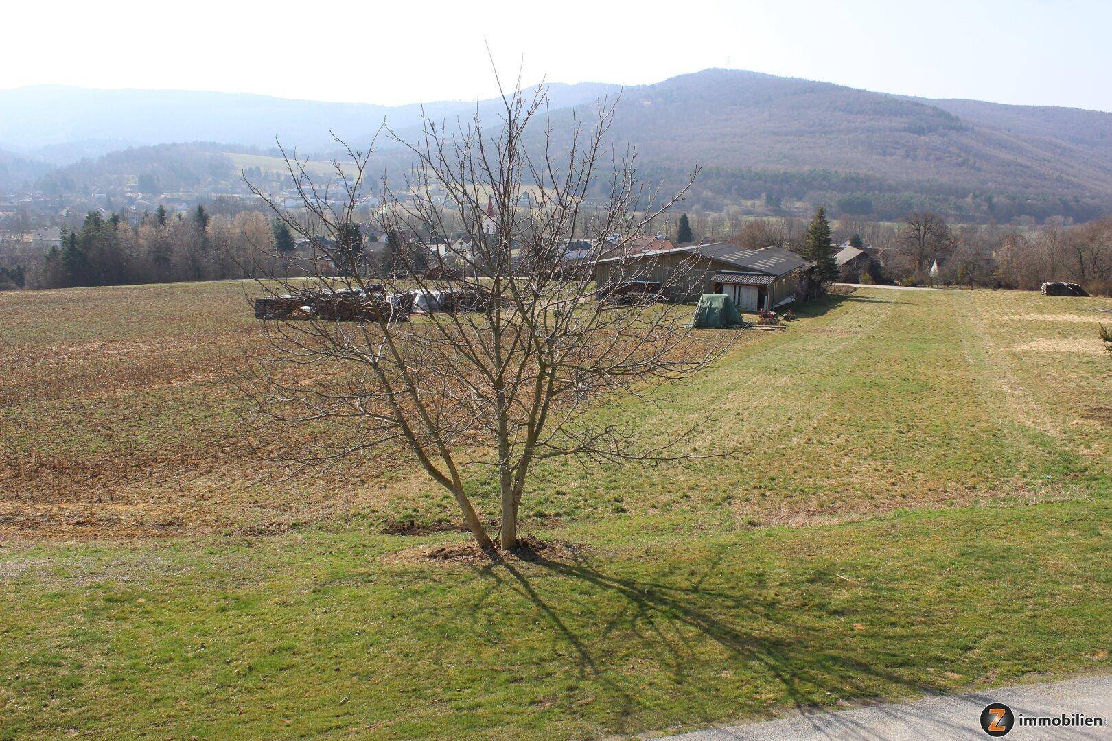 Weitläufige grüne Landschaft mit einzelnen Bäumen und Blick auf die umliegenden Hügel.