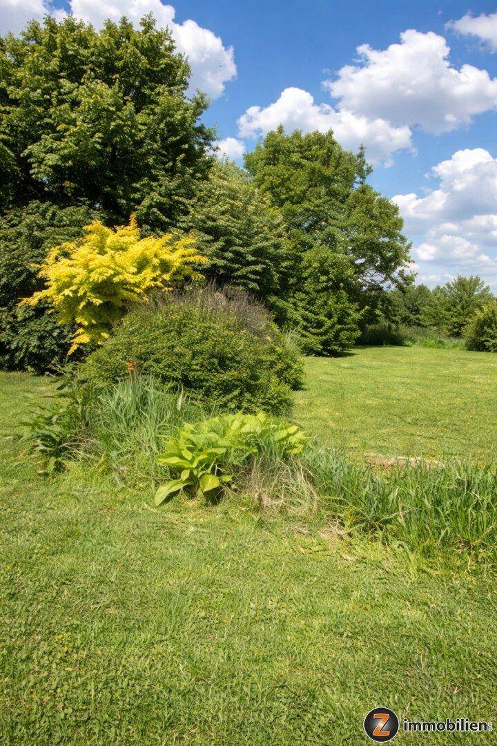 Weitläufiger grüner Garten mit verschiedenen Bäumen und Sträuchern unter blauem Himmel.