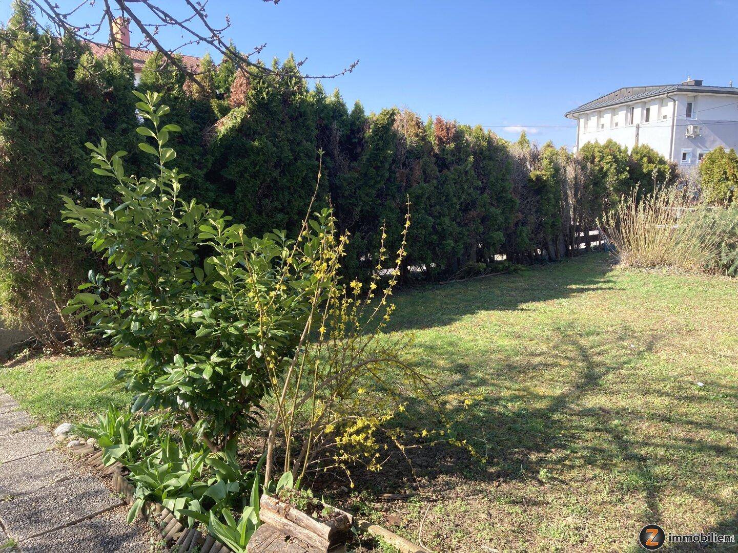 Gepflegter Gartenbereich mit Rasenfläche, Hecke und verschiedenen Sträuchern unter blauem Himmel.