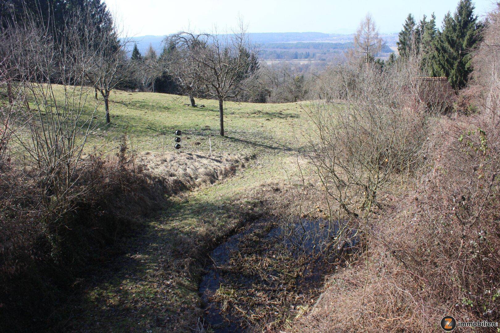 Weitläufige grüne Landschaft mit Bäumen und einem kleinen Teich im Vordergrund.