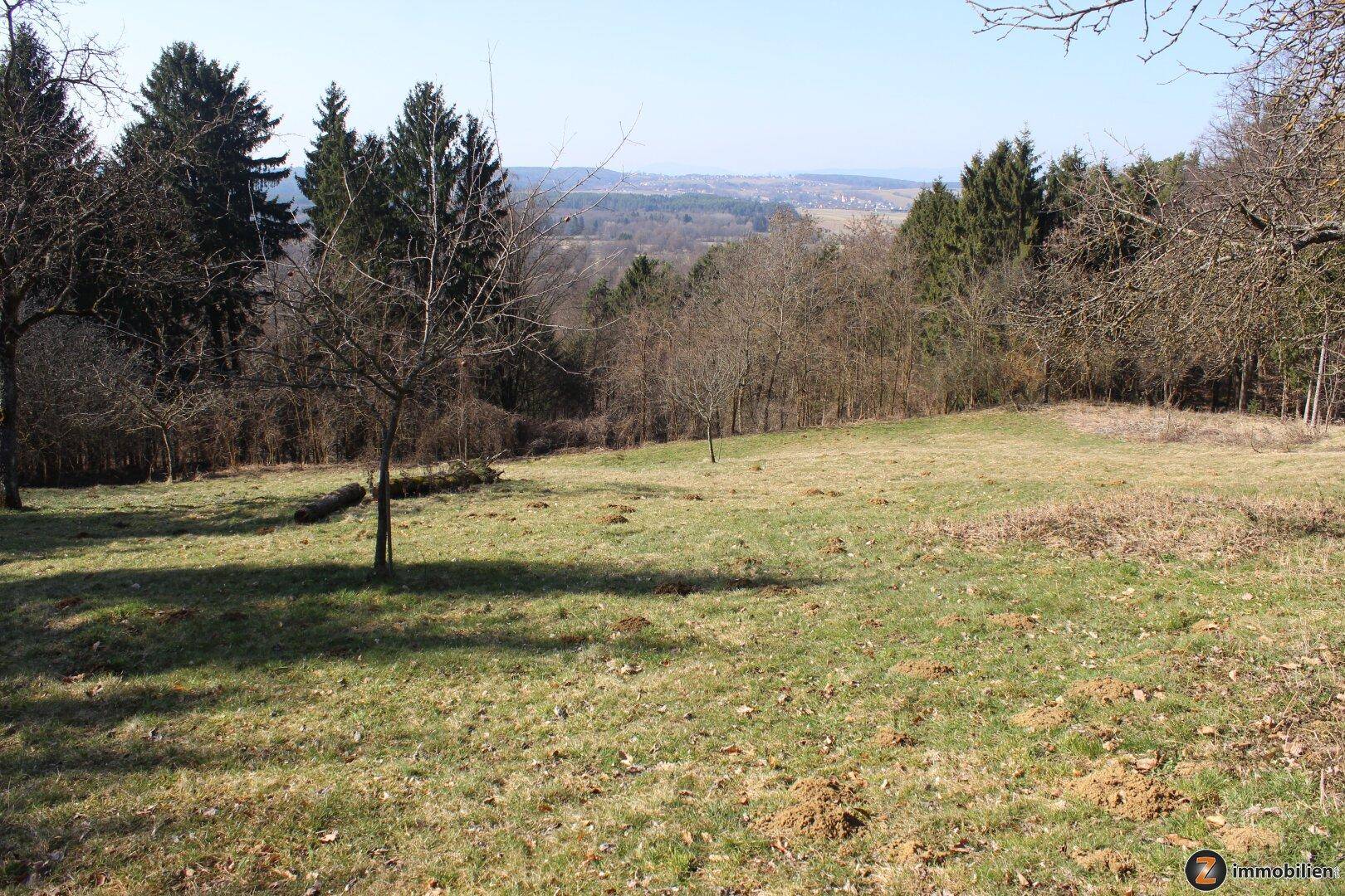 Offene Wiesenfläche mit vereinzelten Bäumen und weitem Blick in die Landschaft.
