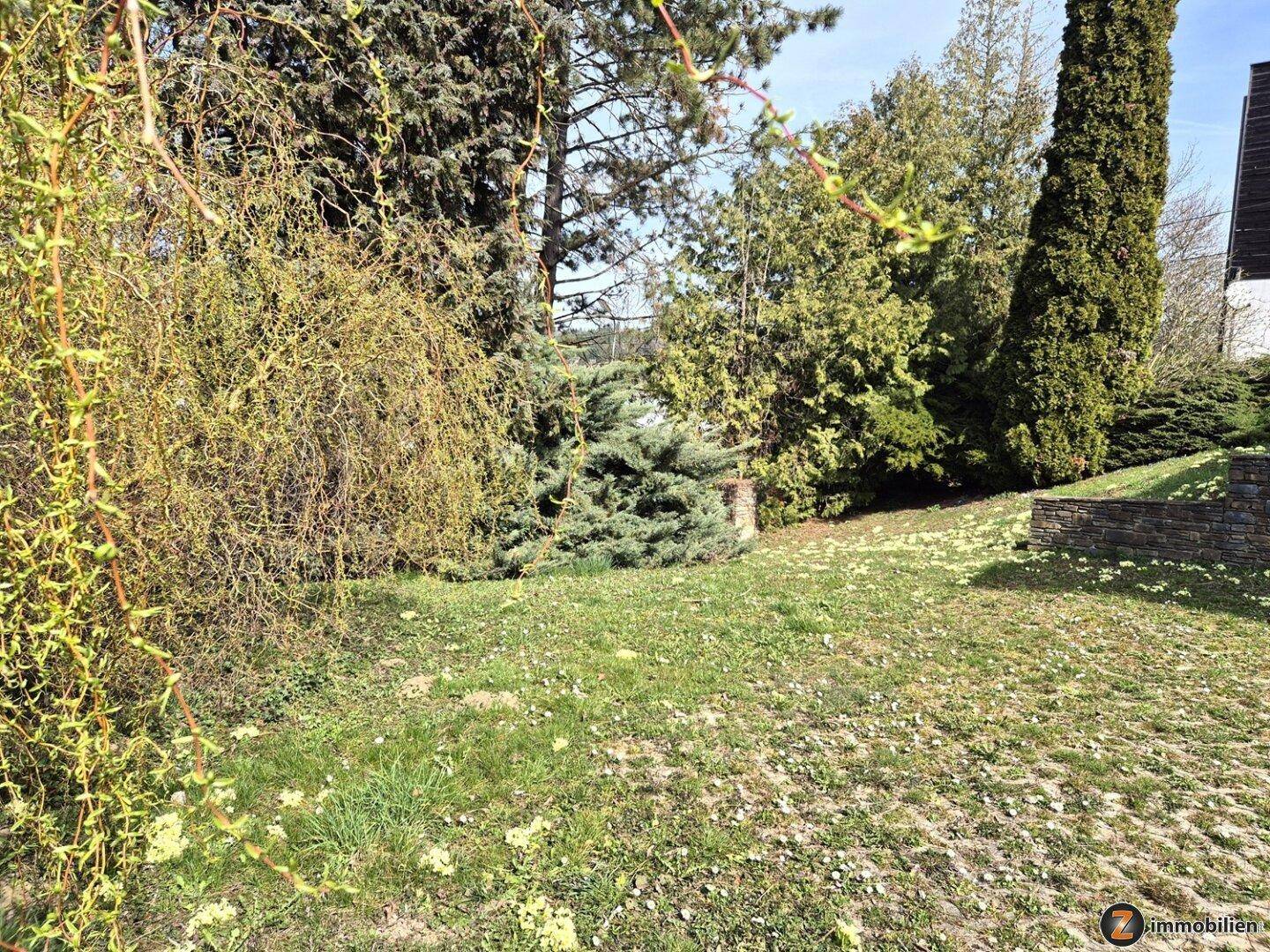 Großzügiges Wohnhaus mit Lift und viel Potential - Ansicht 4