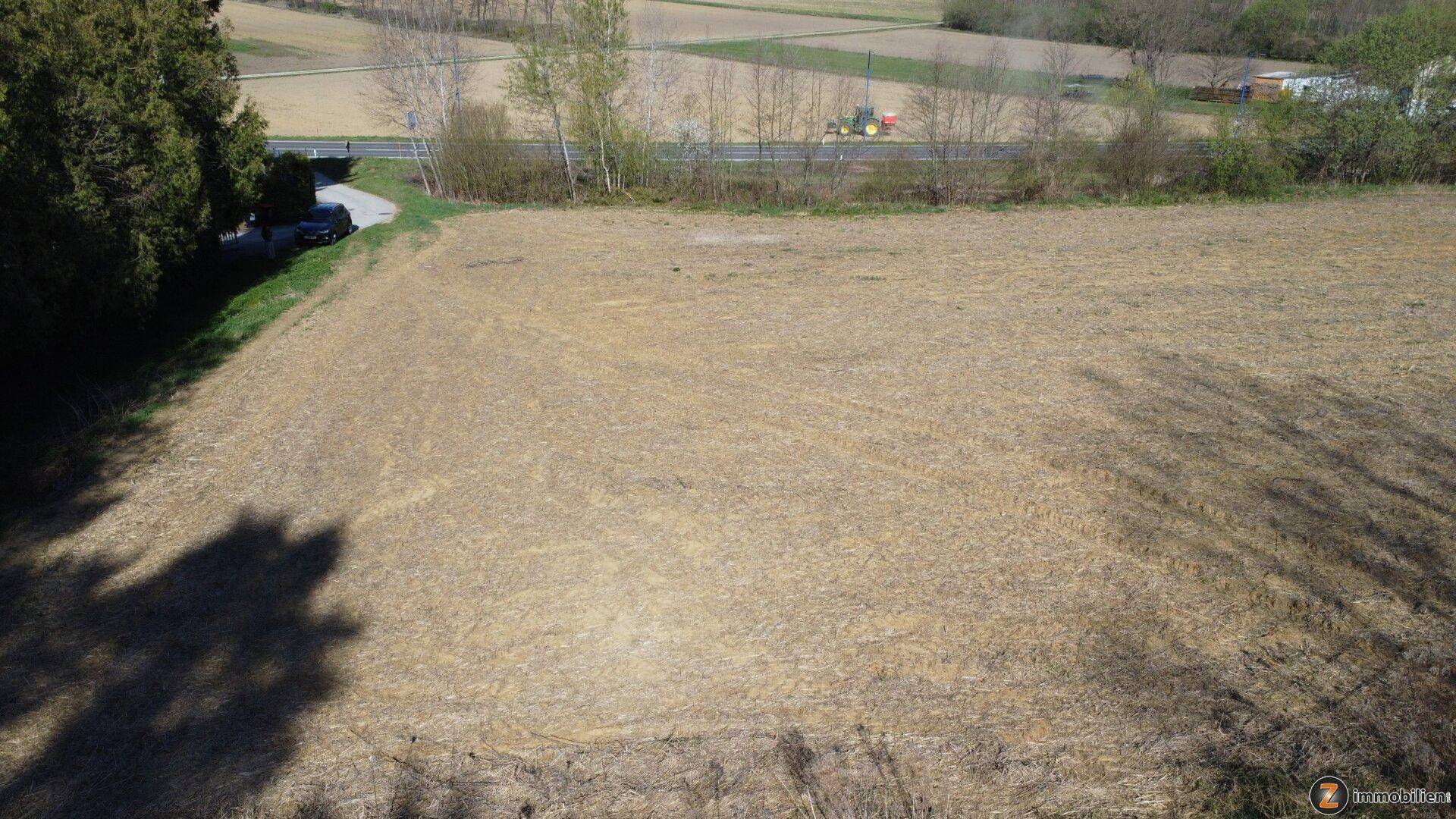 Baugrundstücke in Stegersbach – flexible Größen (EUR 39,- bis 55,-/m²) - Ansicht 2