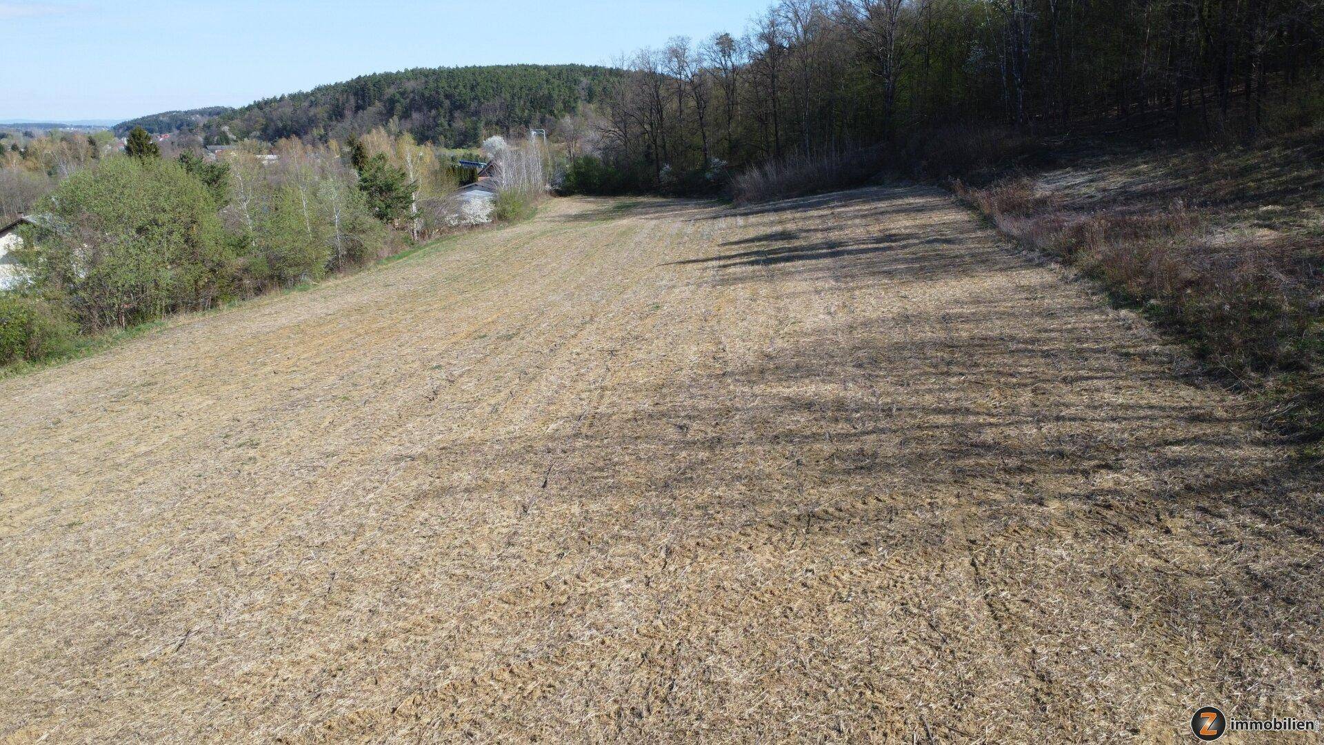 Baugrundstücke in Stegersbach – flexible Größen (EUR 39,- bis 55,-/m²) - Ansicht 3