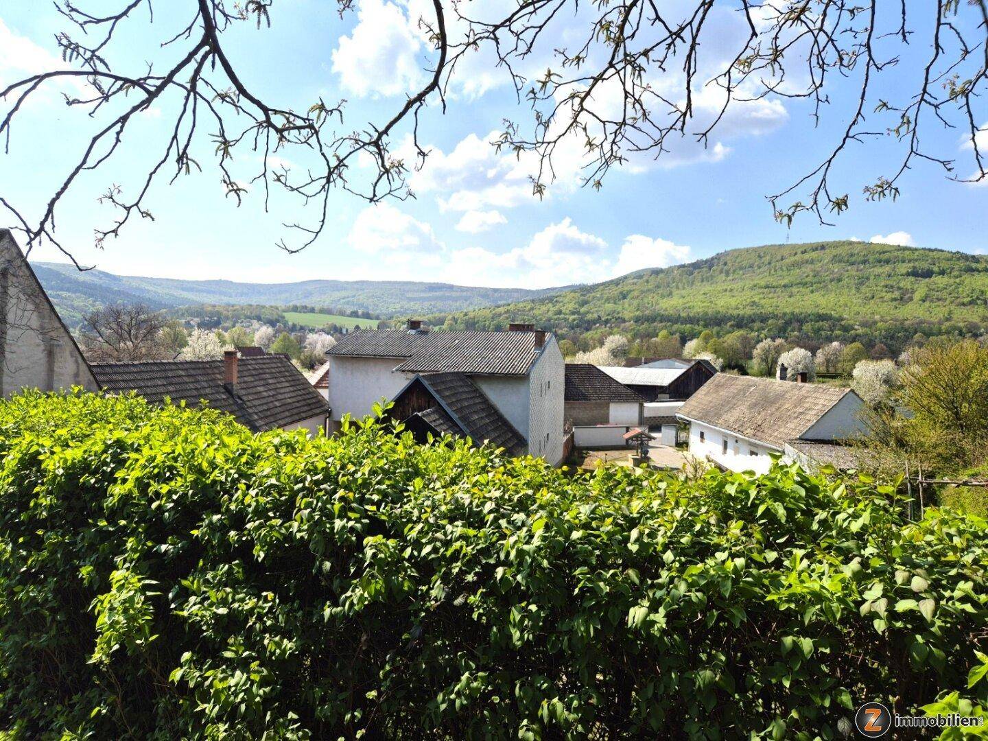Gepflegtes Wohnhaus mit hoher Privatsphäre und Ausblick! - Widok 2