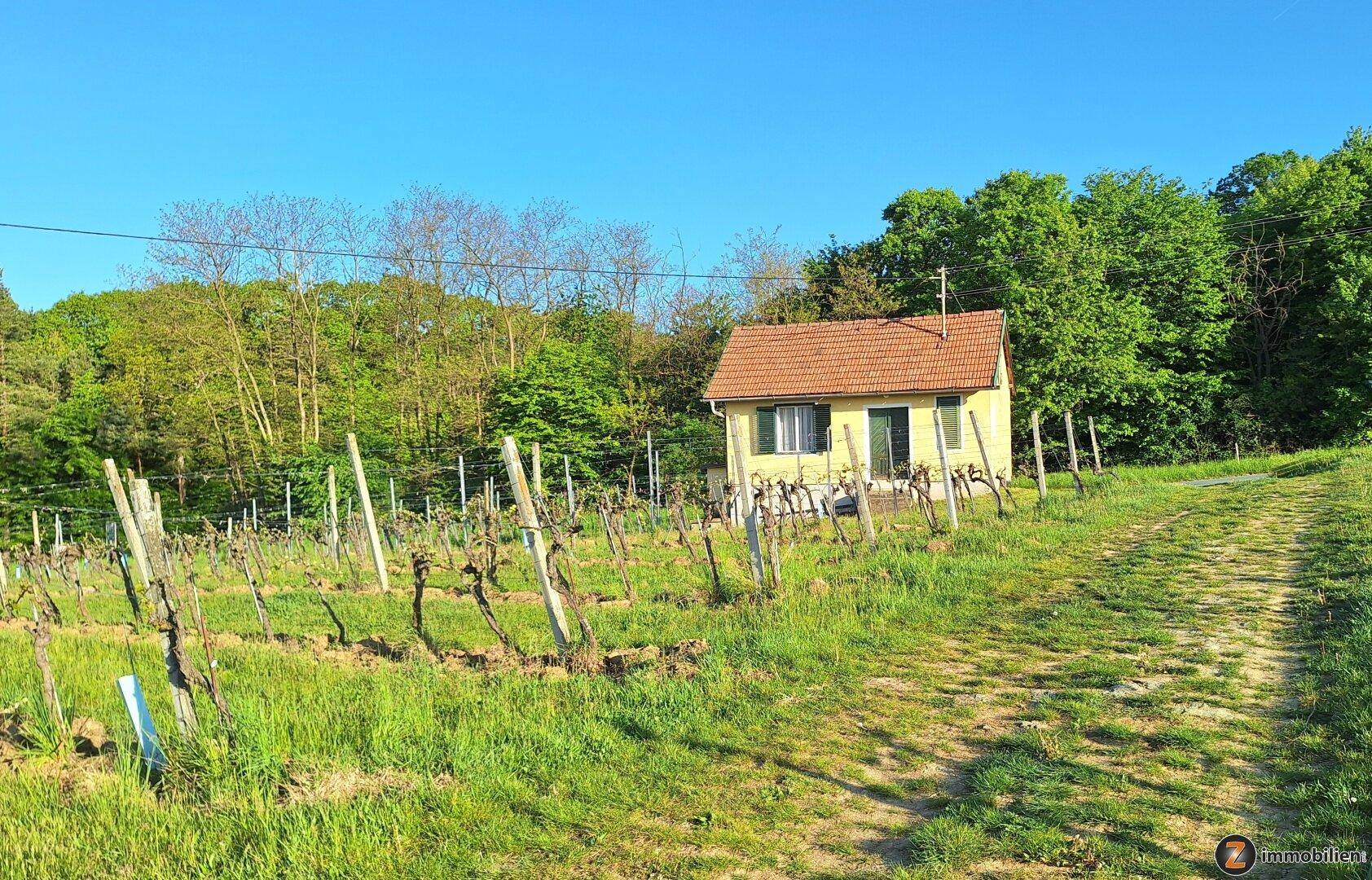 Kleines Haus inmitten eines Weinbergs mit grüner Landschaft und blauem Himmel an einem sonnigen Tag.