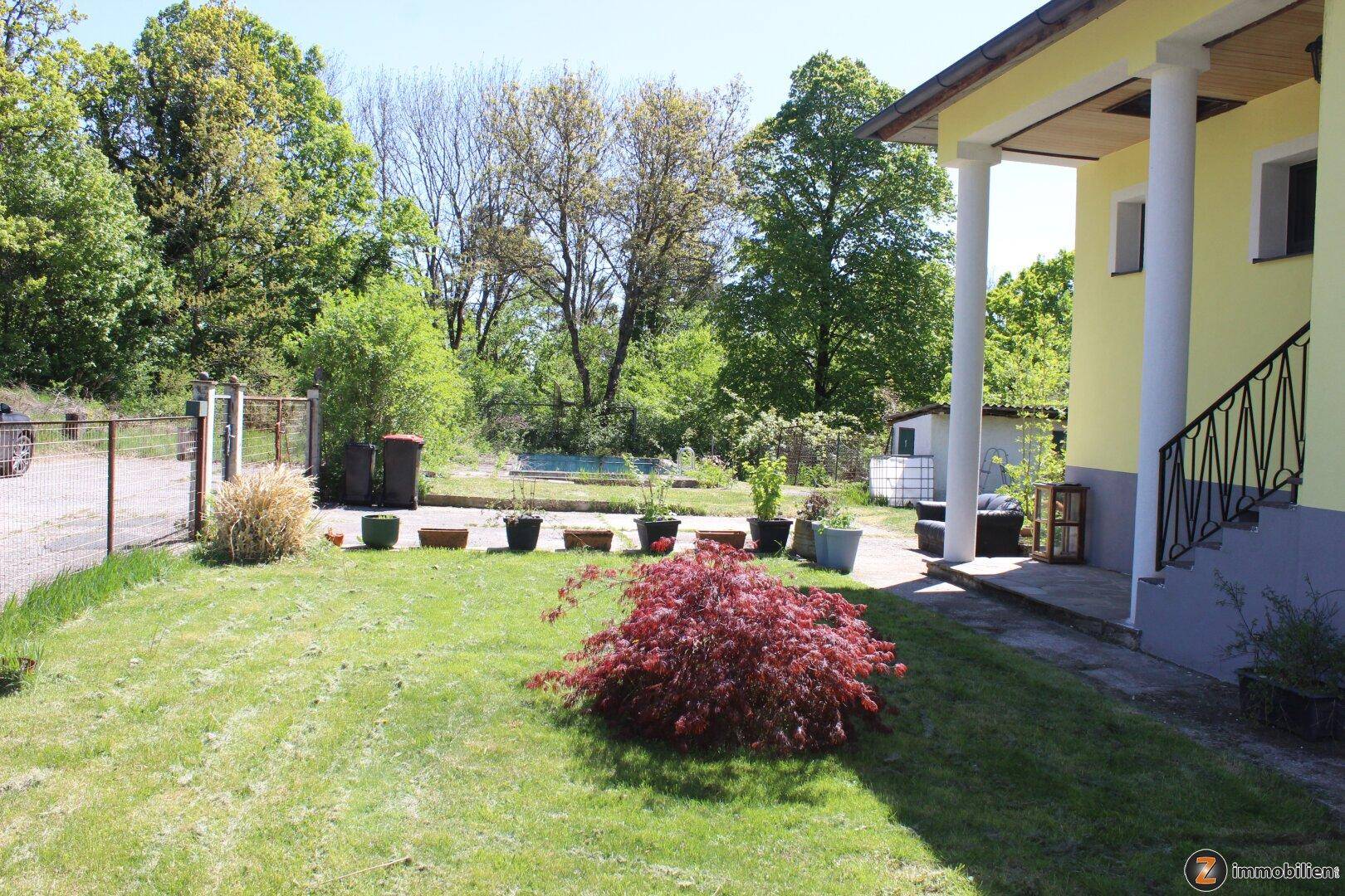 Gepflegter Vorgarten mit Rasenfläche, Zierpflanzen und Zugang zum Haus.