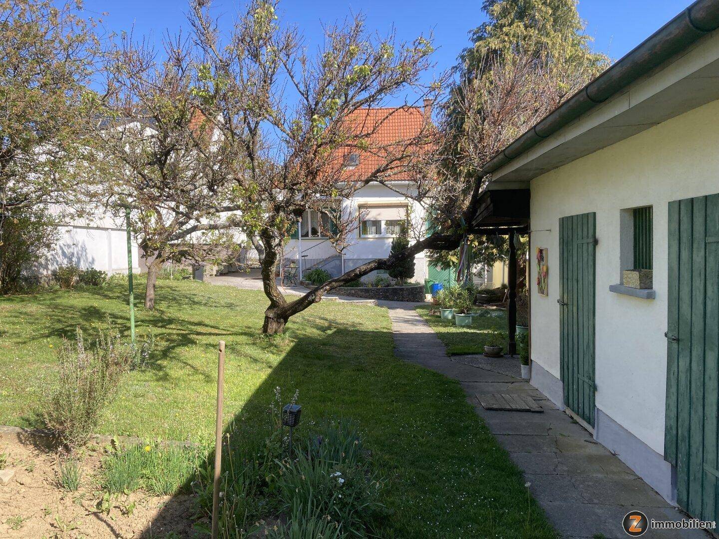 Grüner Gartenbereich mit altem Baumbestand und einem Pfad zum Haus.