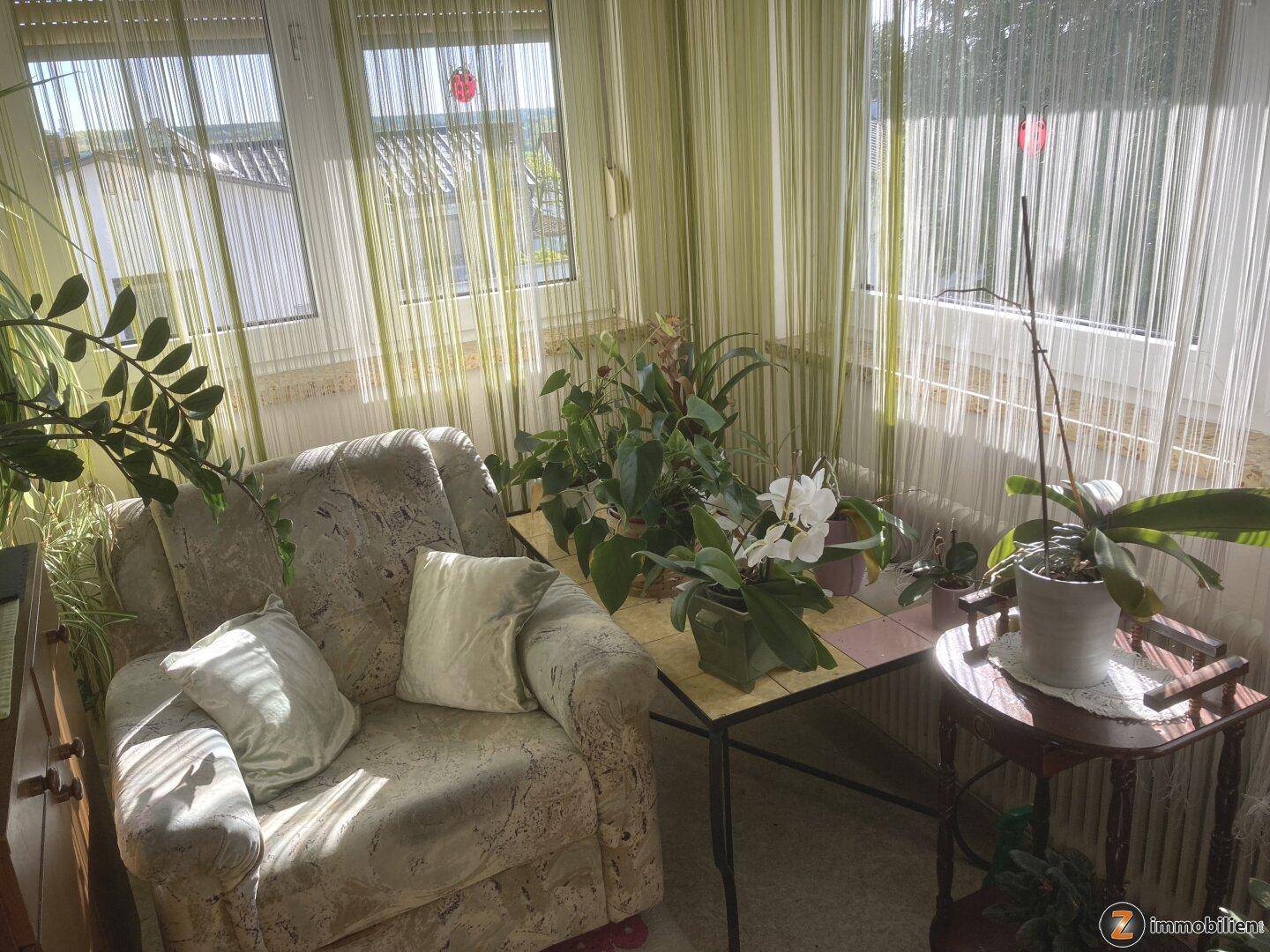 Heller Wintergarten mit vielen Pflanzen, einem Sessel und großen Fenstern.