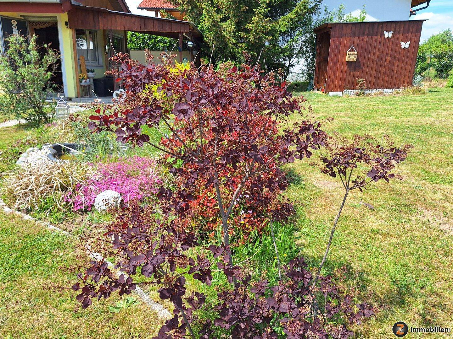Bunter Gartenbereich mit verschiedenen Sträuchern und Blumen vor dem Haus und Schuppen.