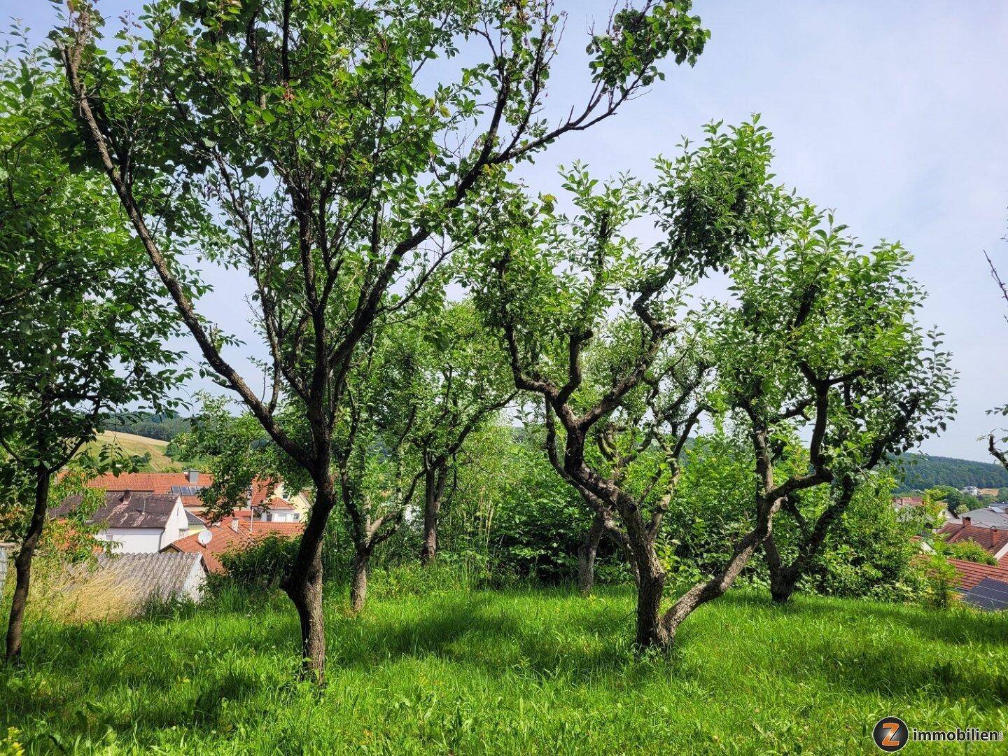 Grüne Hügellandschaft mit zahlreichen Obstbäumen und Blick auf ein nahegelegenes Dorf.