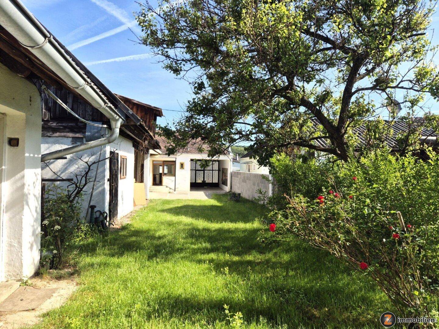 Grüner Gartenbereich mit altem Baum und blühenden Rosen, umgeben von ländlichen Gebäuden.