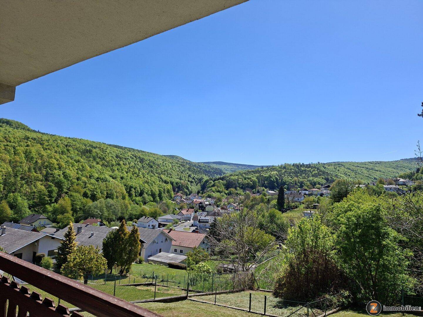 Weitläufiger Blick vom Balkon über eine grüne Hügellandschaft und ein Dorf.