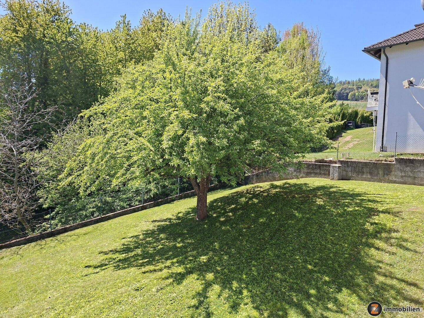 Gepflegter Gartenbereich mit einem großen Baum, Rasenfläche und Blick ins Grüne.