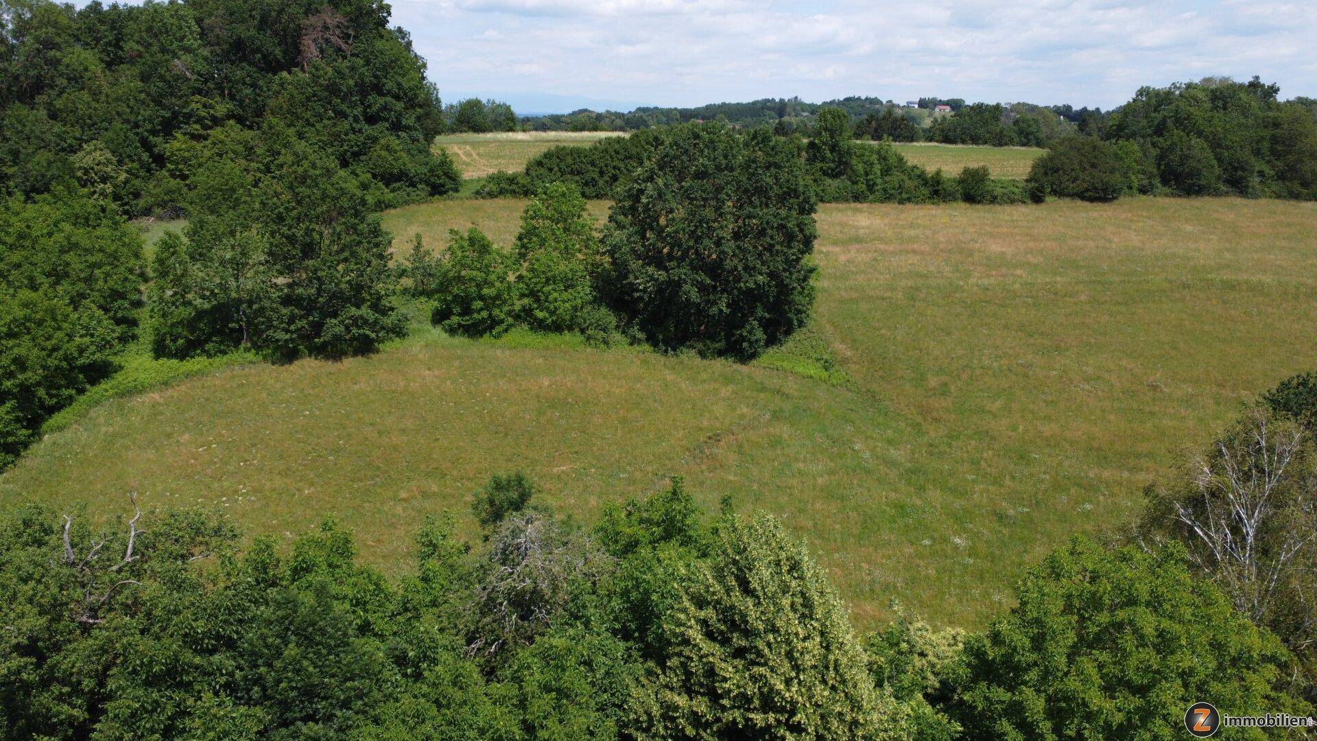 Weitläufige grüne Felder und Wälder unter einem blauen Himmel, die ländliche Umgebung zeigen.