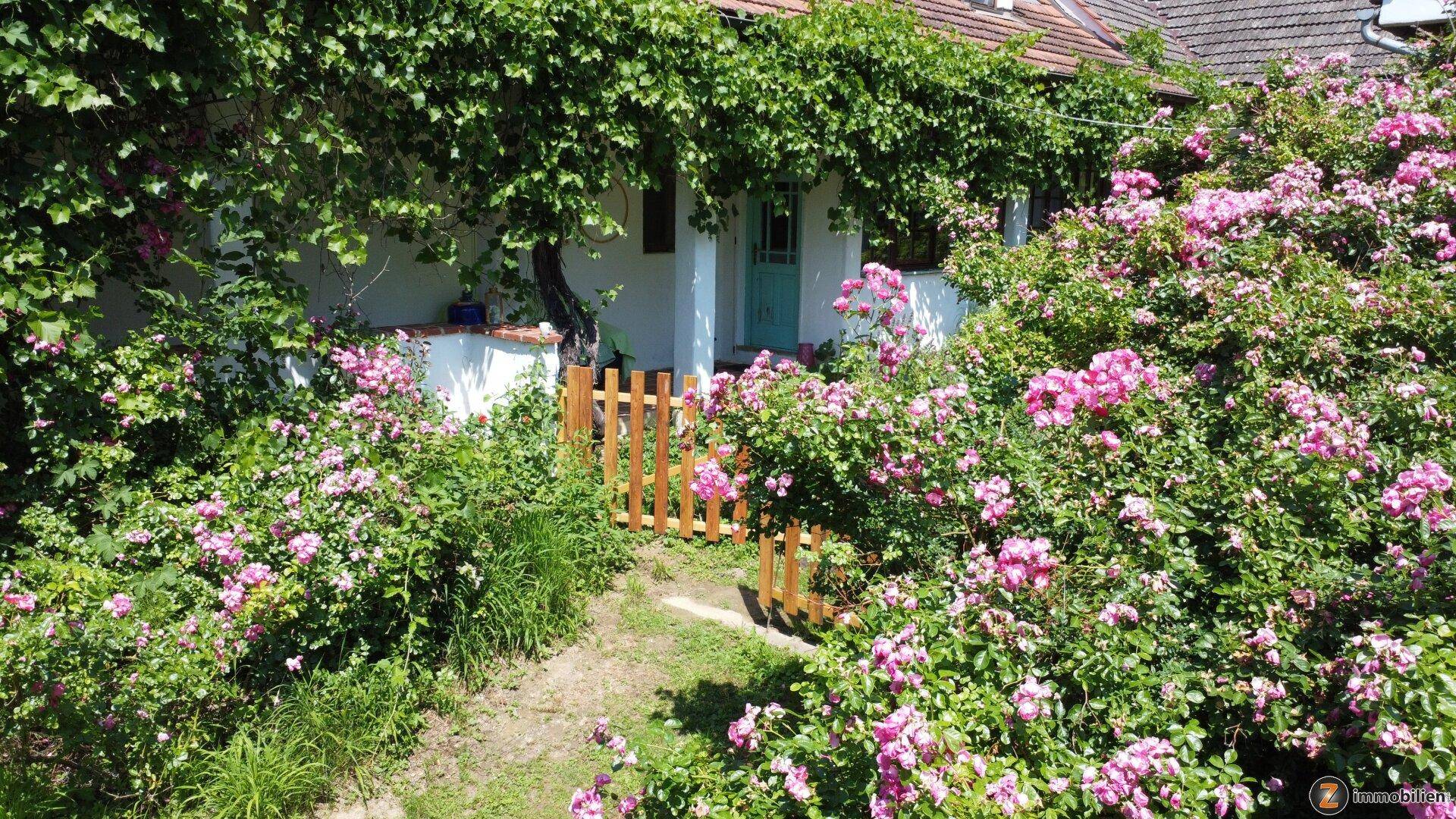 Malerischer Eingangsbereich eines Hauses mit üppigem Rosengarten und bewachsenem Vordach.