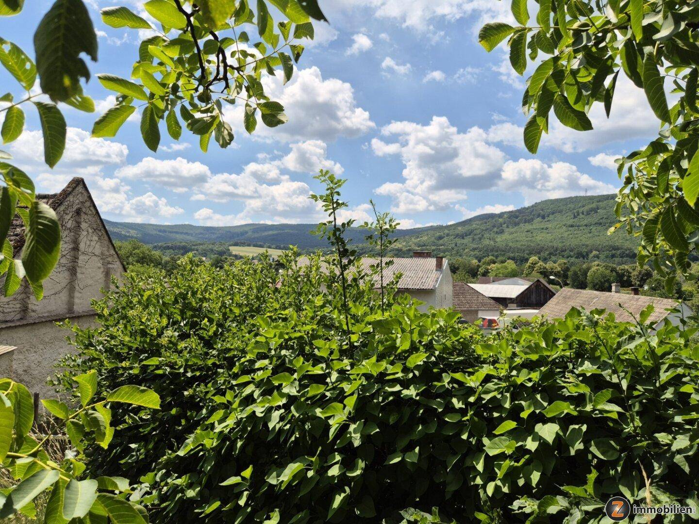 Malerischer Ausblick über die grüne Hügellandschaft und Dächer der Nachbarhäuser.