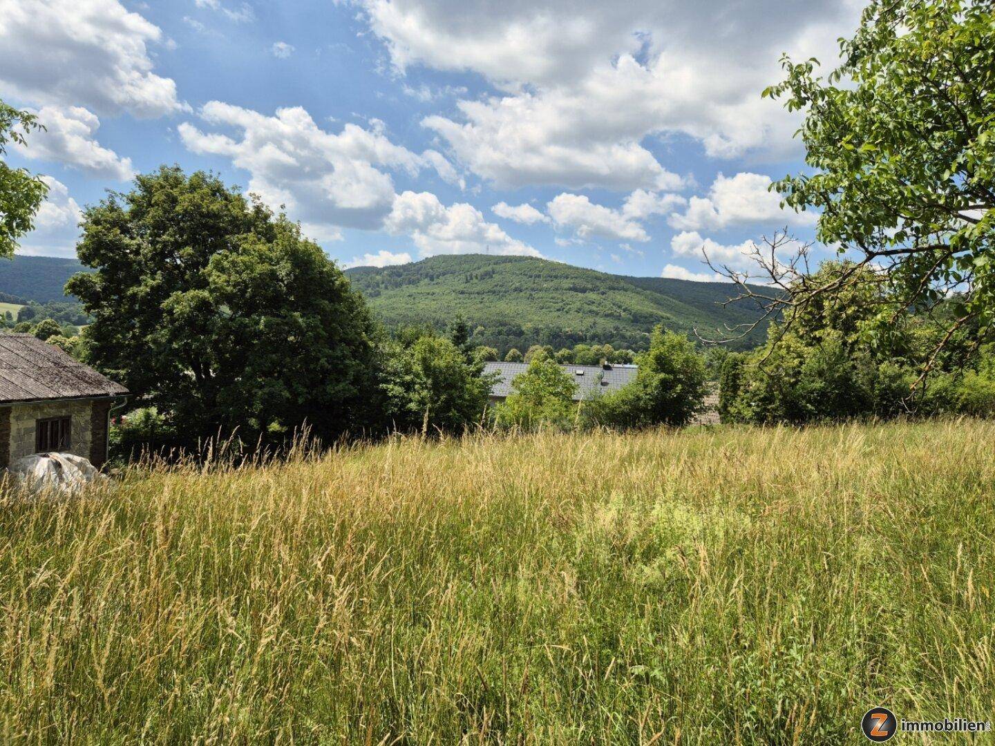 Weitläufige Wiesenlandschaft mit Bäumen und Hügeln im Hintergrund unter blauem Himmel.