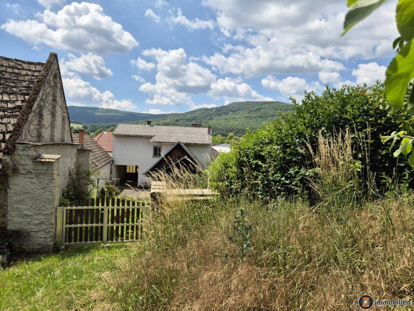 Blick über den verwilderten Gartenbereich mit Zaun und Häusern im Hintergrund.