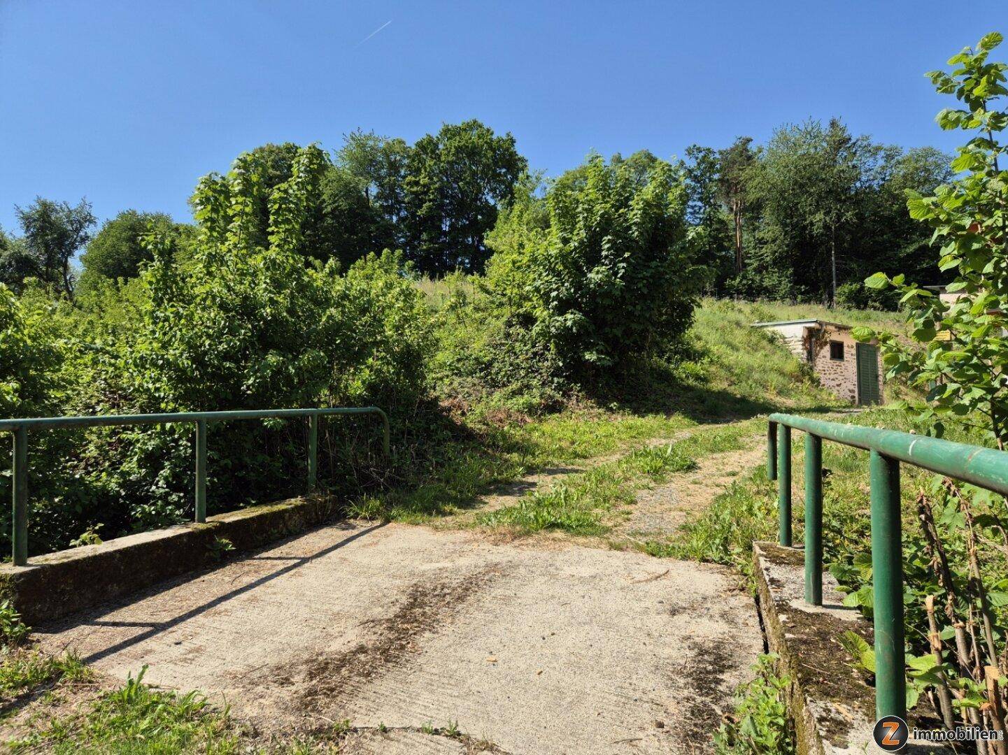 Unbefestigter Weg führt durch grüne Landschaft mit Bäumen und einem kleinen Schuppen im Hintergrund.