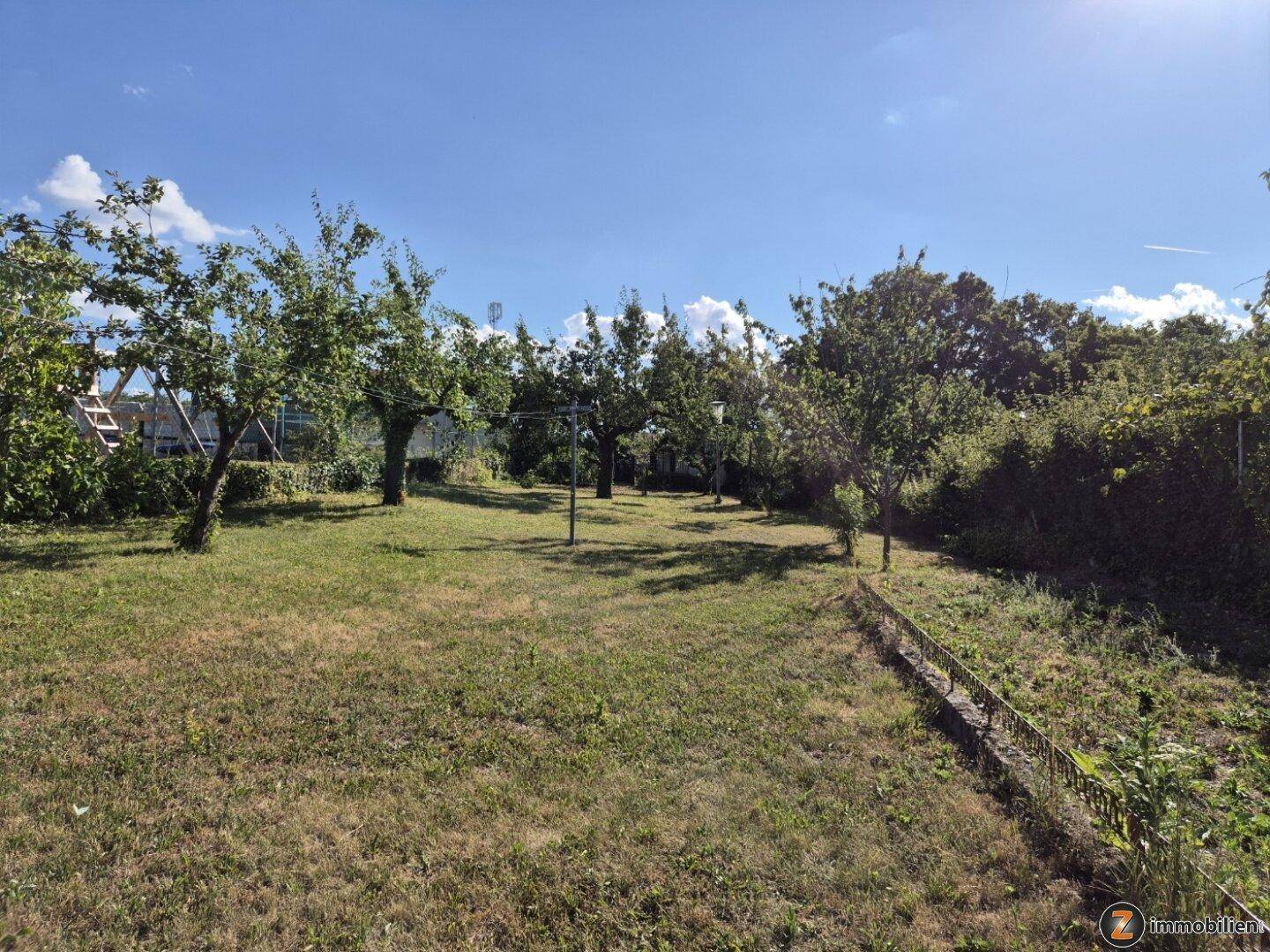 Weitläufiger Garten mit Rasenfläche und vielen Obstbäumen unter blauem Himmel.